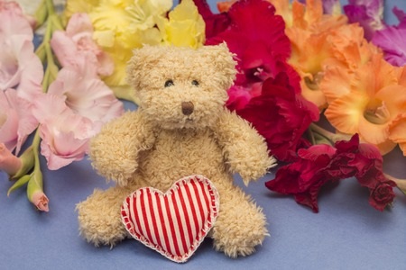 The Zoo Factory What the Color of Your Teddy Bear Means