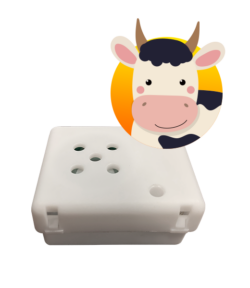 Cow Mooing Sound