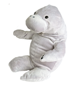 16" Manatee