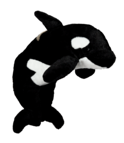 16" Orca Whale