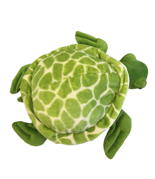 16" Shelldon Sea Turtle - Image 2