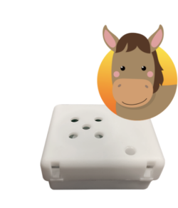 Horse Trotting Sound