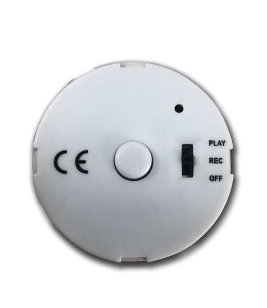 60 Second Twist Top Record - Image 2