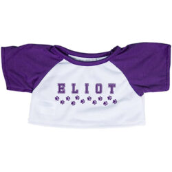 Custom T-Shirt Printing for 8 in Stuffed Animals